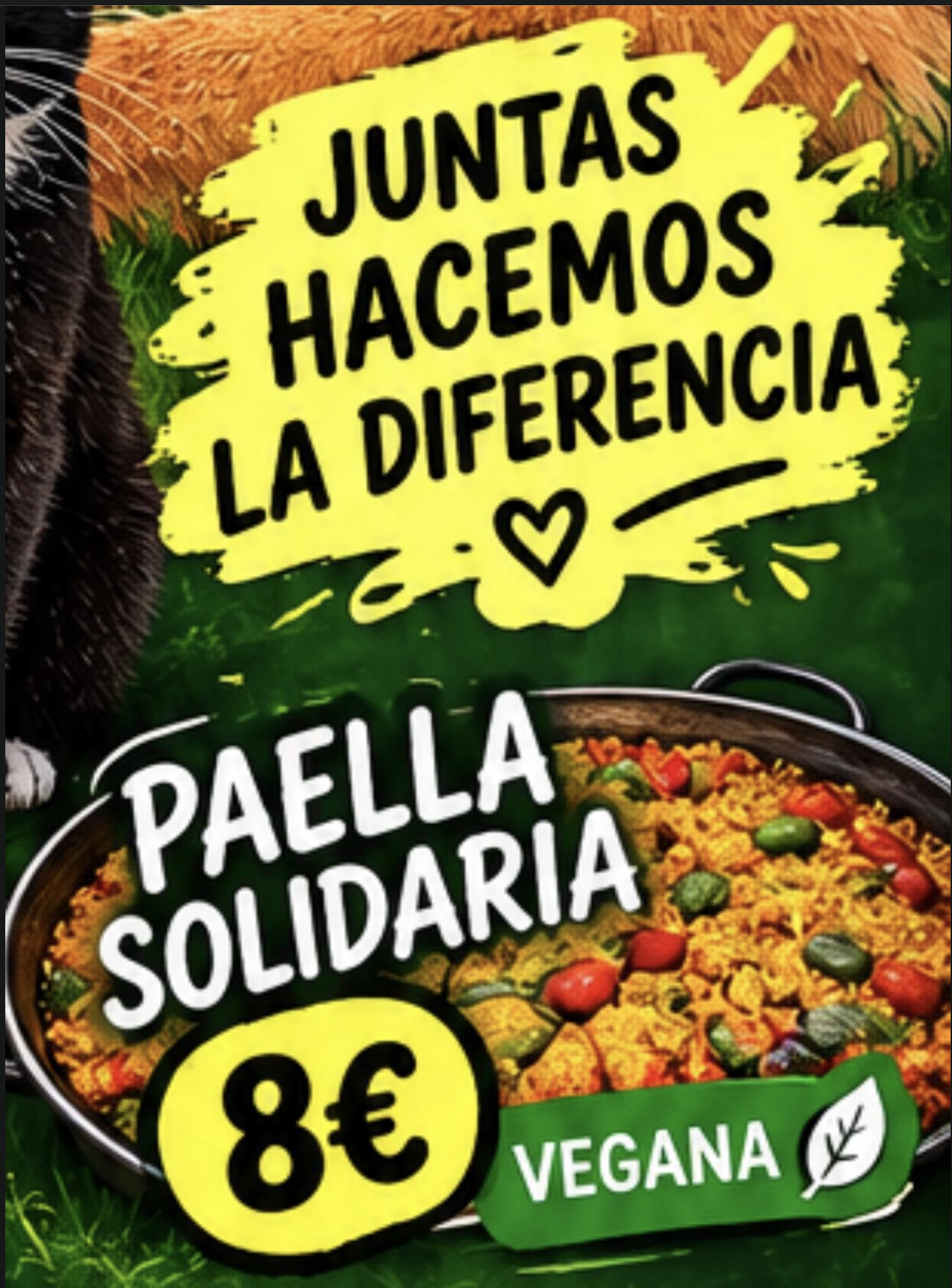 Cartel de la organización: juntas hacemos la diferencia, paella solidaria vegana a 8 euros