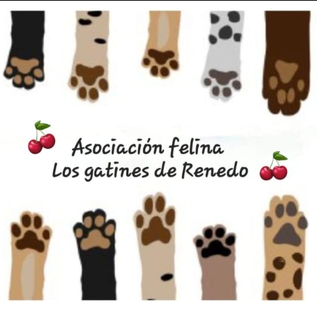 Logo de Los Gatines de Renedo